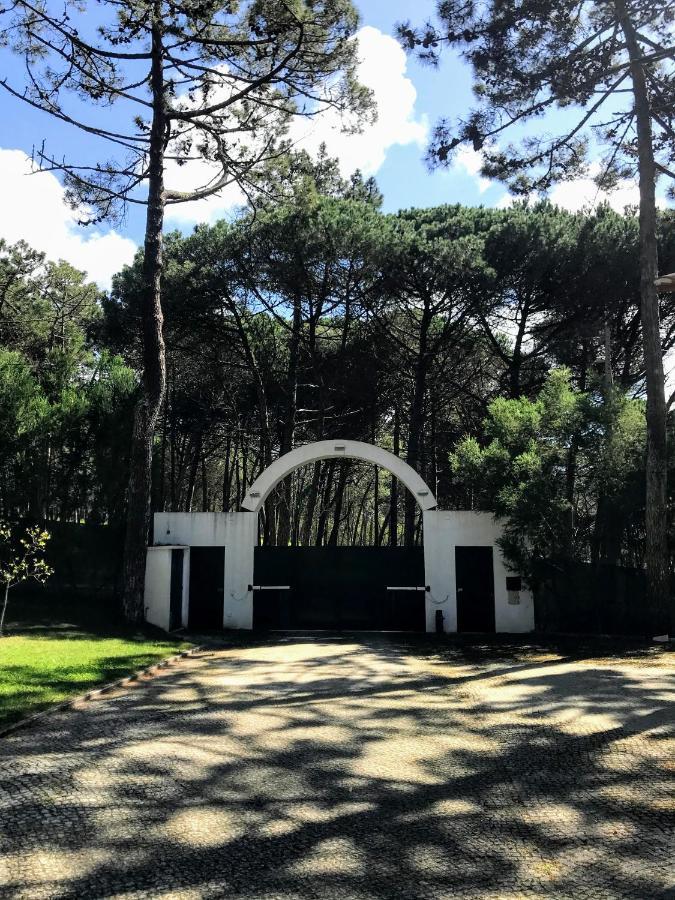 Villa Colares Sintra Exterior foto